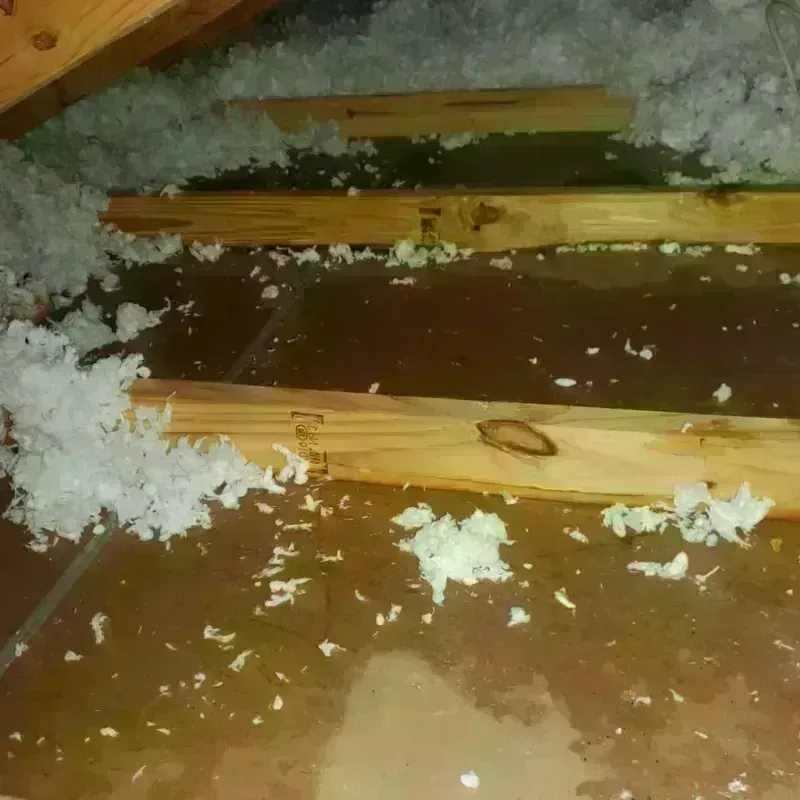 Attic Water Damage in Weston, NJ