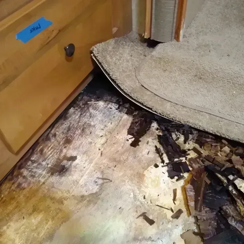 Wood Floor Water Damage in Weston, NJ